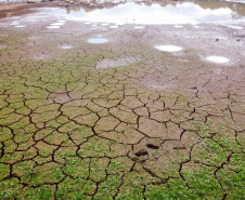 Paraná decreta situação de emergência hídrica por causa da estiagem
