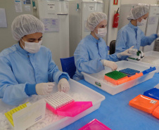 Instituto paranaense já produziu 1 milhão de testes da Covid-19. Foto:Divulgação/IMBP