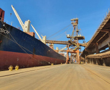 Agronegócio representa 80,3% das exportações do Paraná.Foto: Portos do Paraná