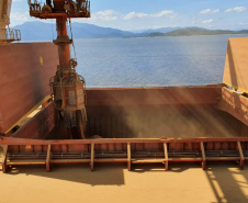 Agronegócio representa 80,3% das exportações do Paraná.Foto: Portos do Paraná