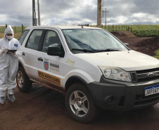 A Agência de Defesa Agropecuária do Paraná (Adapar) iniciou nesta segunda-feira (18) o inquérito soro-epidemiológico do rebanho bovino do Estado. Serão coletadas amostras do sangue de quase 10 mil animais em 330 propriedades rurais. Foto: Adapar