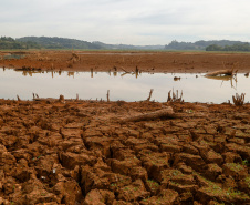 Estudo técnico mostra que estiagem pode comprometer safra de inverno. Foto:Gilson Abreu/AEN