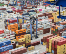 Exportação de algodão cresce 3.098% nos portos do Paraná.