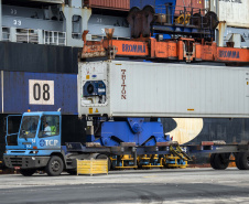 Exportação de algodão cresce 3.098% nos portos do Paraná.
