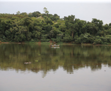 A iniciativa visa proteger as espécies de peixes, em especial as existentes nos corpos hídricos afetados pela seca. O retorno será permitido quando os rios atingirem a cota hídrica para dispersão de cardumes e navegabilidade.
Foto: Geraldo Bubniak/AEN