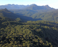 Paraná é o Estado que tem maior remanescente da Mata Atlântica. Foto: José Fernando Ogura/AEN