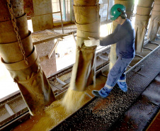 Paraná é o estado do Sul que menos perdeu postos de trabalho. Foto: Jaelson Lucas/AEN