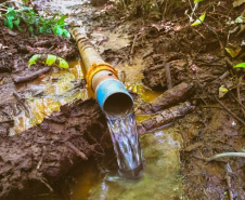 Proteção de nascentes contribui para a conservação da água. Foto:IDR Paraná