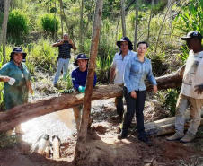 Recuperação de nascentes em Paranavaí é destaque em evento ambiental. Foto: Sanepar