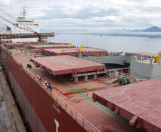 Navio carrega 103 mil toneladas de farelo no Porto de Paranaguá. Foto: Claudio Neves/Portos do Paraná