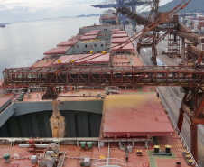 Navio carrega 103 mil toneladas de farelo no Porto de Paranaguá. Foto: Claudio Neves/Portos do Paraná