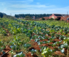 Horta da PIC ganha conceito de reaproveitamento e sustentabilidade. Foto:Depen