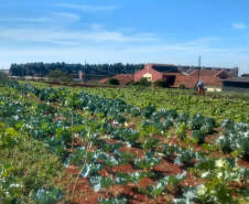 Horta da PIC ganha conceito de reaproveitamento e sustentabilidade. Foto:Depen