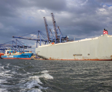 Porto de Paranaguá registra novo recorde mensal.