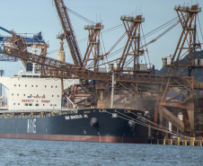 Porto de Paranaguá registra novo recorde mensal.
