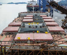 Porto de Paranaguá registra novo recorde mensal.