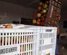  Bancos de Alimentos da Ceasa já distribuiu 970 toneladas neste ano. Foto: Gilson Abreu/AEN