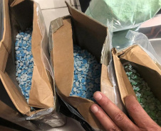 A Polícia Civil do Paraná (PCPR) apreendeu 19% mais maconha nos cinco primeiros meses de 2020 na comparação com o mesmo período do ano passado, em operações da Divisão Estadual de Narcóticos. Neste ano foram apreendidas 13 toneladas, enquanto em 2019 foram apreendidas 10,9 toneladas da droga.
Foto:SESP