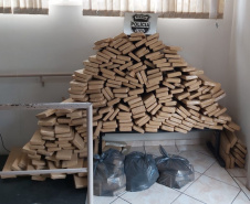 A Polícia Civil do Paraná (PCPR) apreendeu 19% mais maconha nos cinco primeiros meses de 2020 na comparação com o mesmo período do ano passado, em operações da Divisão Estadual de Narcóticos. Neste ano foram apreendidas 13 toneladas, enquanto em 2019 foram apreendidas 10,9 toneladas da droga.
Foto:SESP