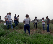 IDR-Paraná incentiva cultivo de pastagens de inverno. Foto;SEAB