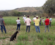 IDR-Paraná incentiva cultivo de pastagens de inverno. Foto;SEAB