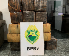 O trabalho ao longo do feriado, segundo o Comandante do BPRv, tenente-coronel Olavo Vianei Francischetti Nunes, foi para reforçar a fiscalização de trânsito para reduzir o número de mortes e mutilados, além de desenvolver um trabalho para combater a criminalidade que opera na rodovia, como o tráfico de drogas e de armas, o contrabando e o descaminho, e de prestar apoio às autoridades sanitárias do Estado e dos municípios para frear o avanço do coronavírus.Foto:SESP