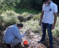 Prevenção contra a dengue deve ser mantida mesmo com a chegada do inverno. Foto:SESA