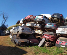 Polícia Civil remove 1,6 mil veículos de pátios em Cascavel. Foto: polícia Civil