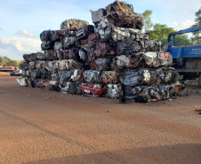 Polícia Civil remove 1,6 mil veículos de pátios em Cascavel. Foto: polícia Civil