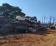 Polícia Civil remove 1,6 mil veículos de pátios em Cascavel. Foto: polícia Civil