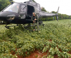 Grupamento aéreo da Polícia Civil completa 441 operações em quatro anos. Foto:Polícia Civil