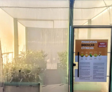 Defesa vegetal colabora para segurança alimentar na pandemia. Foto: Adaptar