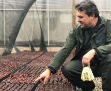 O Instituto Água e Terra, vinculado à Secretaria de Estado do Desenvolvimento Sustentável e do Turismo, distribui gratuitamente mudas de mais de 100 espécies nativas para todo o Estado. Entre elas estão araucária, jabuticaba, canela, peroba, imbuia e erva-mate, que formam parte da vegetação existente no Paraná. Apenas no ano passado foram cerca de 1,6 milhão de unidades.

Foto:IAT