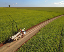 Paraná Trifásico abre espaço para agropecuária crescer mais