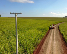Paraná Trifásico abre espaço para agropecuária crescer mais