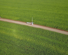 Paraná Trifásico abre espaço para agropecuária crescer mais