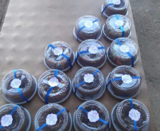 Governo distribui cestas básicas no Dia Mundial do Refugiado. Foto:SEJUF