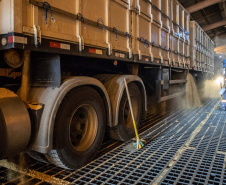 Exportação de grãos deve crescer 8,5% no 3.º trimestre.