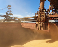 Exportação de grãos deve crescer 8,5% no 3.º trimestre.