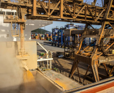 Exportação de grãos deve crescer 8,5% no 3.º trimestre.