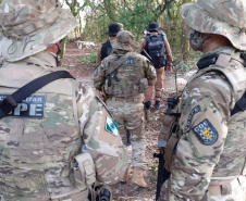 Reforço da presença da PM na Ilha do Mel inibe tráfico de drogas e invasão de áreas de proteção ambiental
. Foto:PMPR