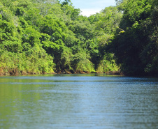 Foto: Denis Ferreira Netto / Sedest
