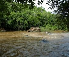 Foto: Denis Ferreira Netto / Sedest

