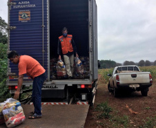 Defesa Civil Estadual apoia FUNAI na entrega de cestas básicas em aldeias indígenas no Paraná. Foto:Defesa Civil