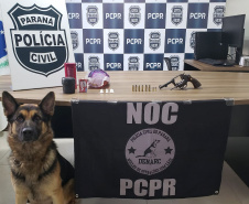 Cães da PCPR apreendem mais drogas em 2020 do que soma dos dois anos anteriores
Foto: PCPR