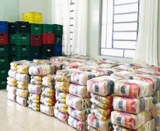Governo distribui 20 mil cestas básicas às famílias de pessoas com deficiência em vulnerabilidade social no Paraná
. Foto:SEJUF
