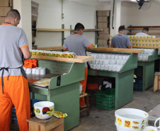 SESP recebe Selo Nacional de Responsabilidade Social pelo Trabalho no Sistema Prisional
. Foto:SESP