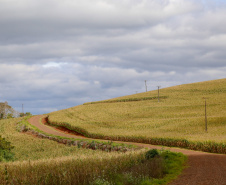 CHOPINZINHO - Estrada Rural.
