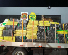 Com ajuda de cães, PM apreende mais de 38 toneladas de maconha
. Foto:SESP