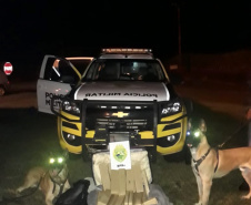 Com ajuda de cães, PM apreende mais de 38 toneladas de maconha
. Foto:SESP